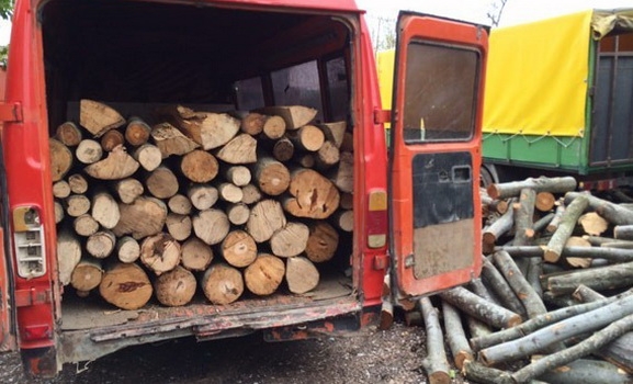 EMRI & FOTO/ Pogradec, lidh bashkëfshatarin dhe i rrëmben drutë e zjarrit