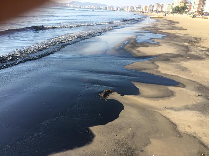 Grekët dhe italianët ndotën bregdetin e Durrësit