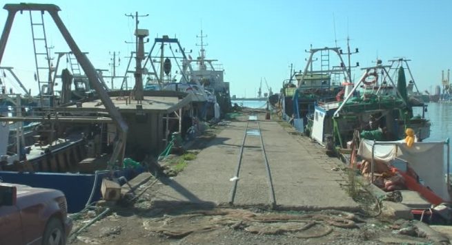 Pralizohet Sektori i peshkimit në Durrës: Mbi 70 anije nuk janë lejuar të dalin në det
