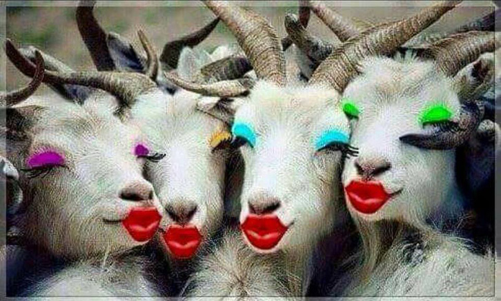 FOTO GALERI/ “Dita e Verës” e parë ndryshe sot në Tiranë …