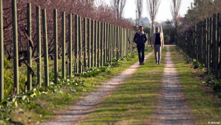 DEUTSCHE WELLE/ Shqipëria e raskapitur mes korrupsionit dhe papunësisë ekstreme