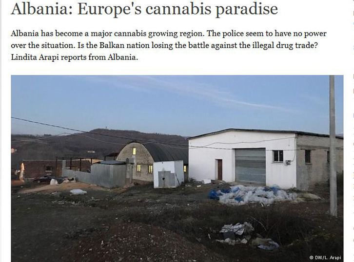 REPORTAZH – DW/ Shqipëria, parajsa europiane e kanabisit