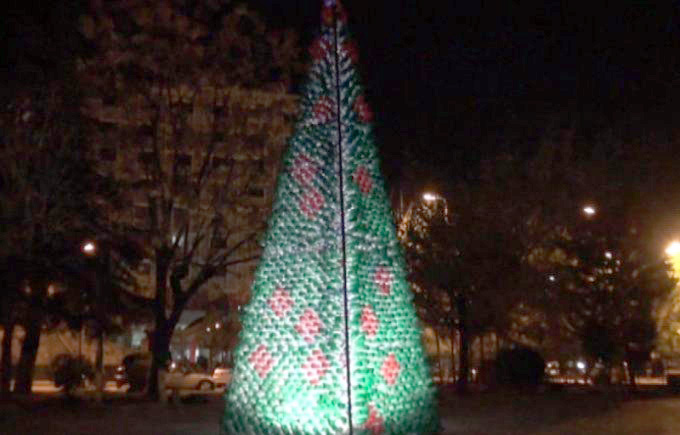 FOTO LAJM/ Një bredh ekologjik për festat e fundvitit në Elbasan