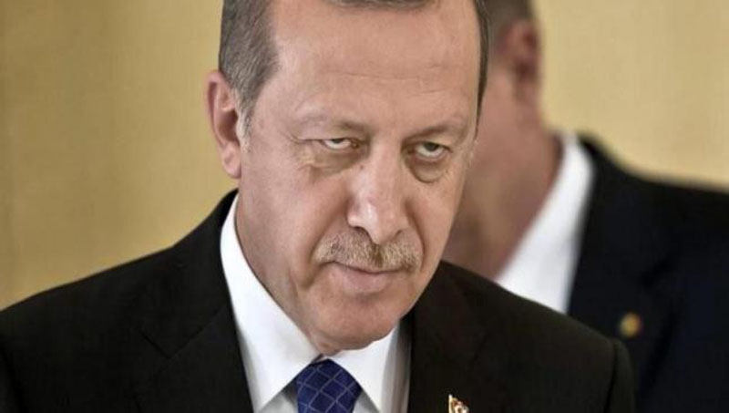 Erdogan garanton pushtetin, shumë pranë të qenit sulltan