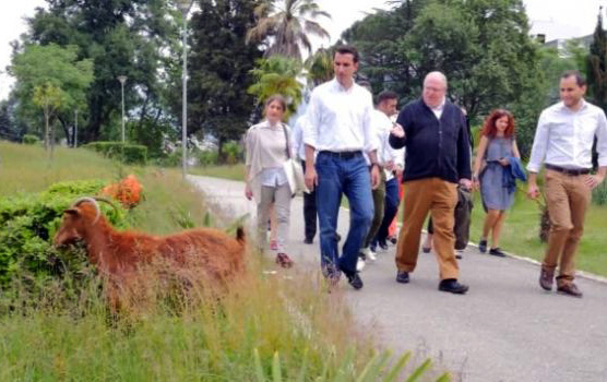 Veliaj: Luani i Kopshtit Zoologjik që në kohën e Ramës hante patate e karrota, ka ngordhur