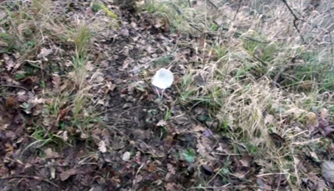 FOTO/ Vlorë, gjenden eshtrat e kufomës pa kokë