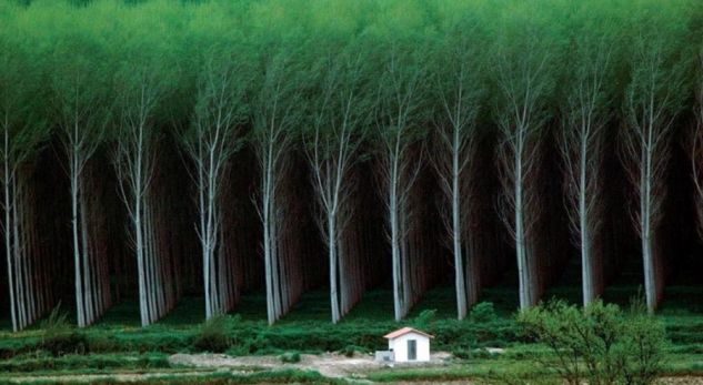 Këto foto të mrekullueshme të planetit do t’ju çudisin