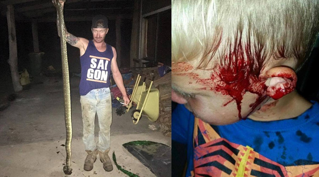 Nëna gjen një gjarpër tre metra të gjatë duke kafshuar kokën e djalit