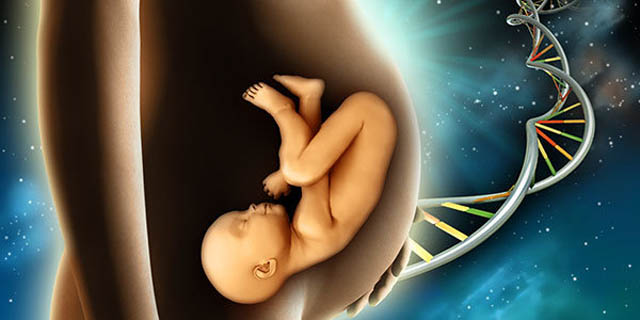 Në cilin muaj vjen shpirti i bebes në barkun e nënës?