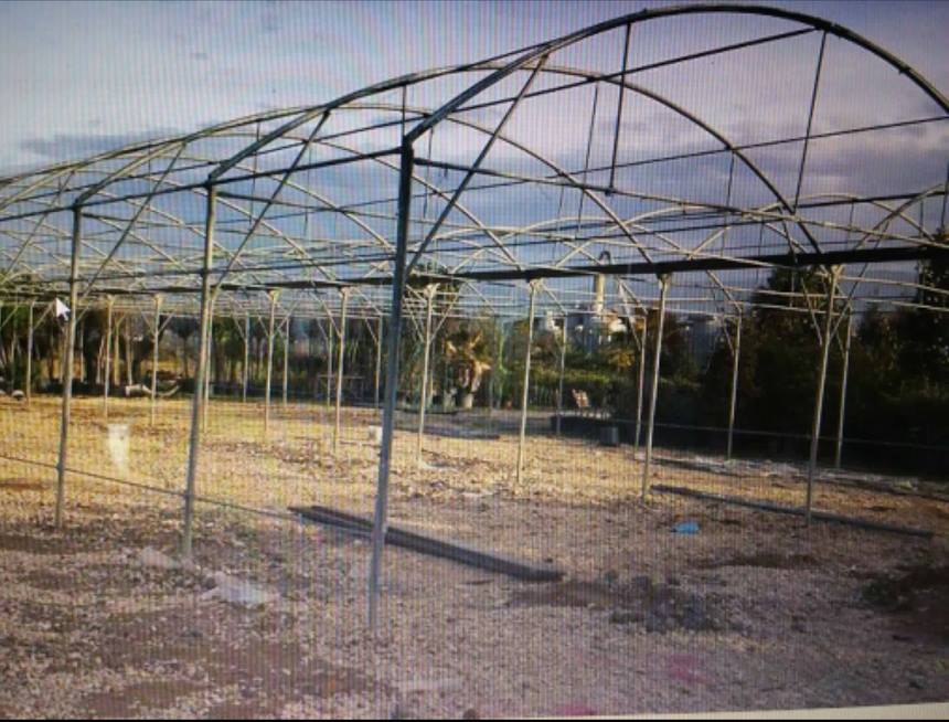 Qytetari dixhital: Artur Bushi gjobë për biznesin