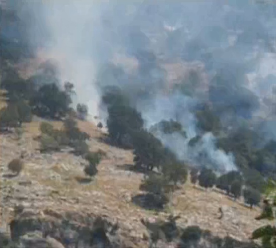 Rrezikohen 300 shtëpi në Finiq, flakët e zjarrit pushtojnë vendin