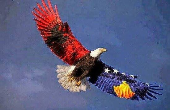 FOTO LAJM/ Ja si e uron Basha Pavarsinë e Kosovës