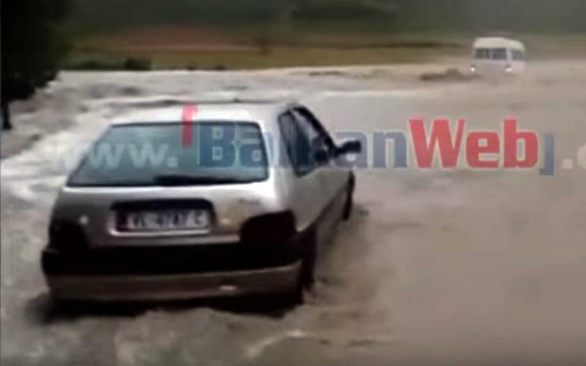 VIDEO/ Përroi rrezikon të rrëmbejnë furgonin me udhëtarë