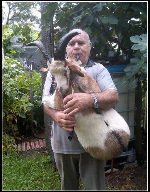 “Populli” i këndon më gajde…, reformës në drejtësi