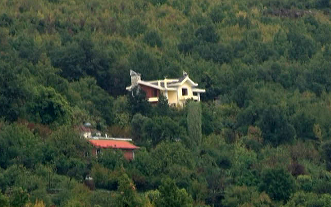 DOSJA/ Kurbin, vrau fqinjin për disa rrënjë gështenjash, dërgohet për gjykim autori