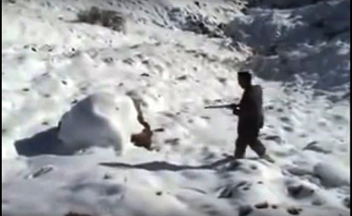 EMRAT/ Shqipëria në ngricë ministrat si “derra të kënaqun” dalin për gjueti