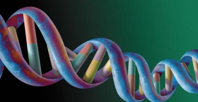 Ndërhyrjet gjenetike, si do të jetë “njeriu i ri”