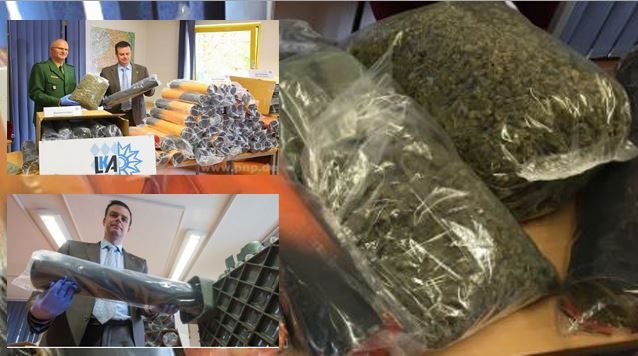 Kanabisi shqiptar edhe drejt Holandës