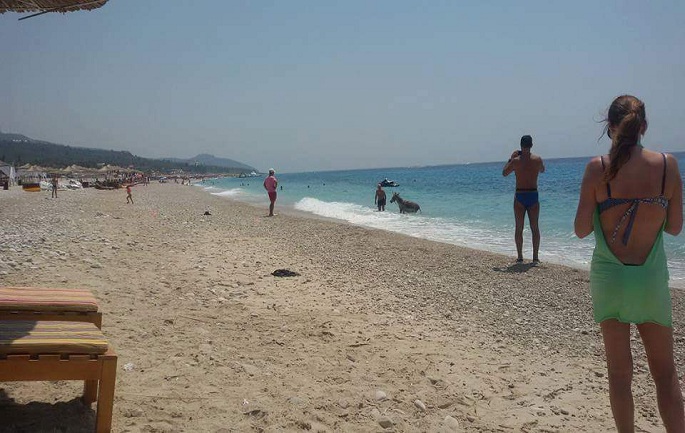 FOTO LAJM/ Gomari me pushime në Dhërmi; lahet në ujë bashkë me pushuesit e tjerë