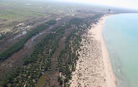 Ja si 5 zyrtarët e Kavajës shitën ilegalisht 80 hektarë bregdet