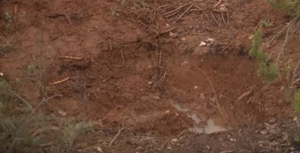 Kufoma e groposur në Dajt, policia zbulon autorin e vrasjes