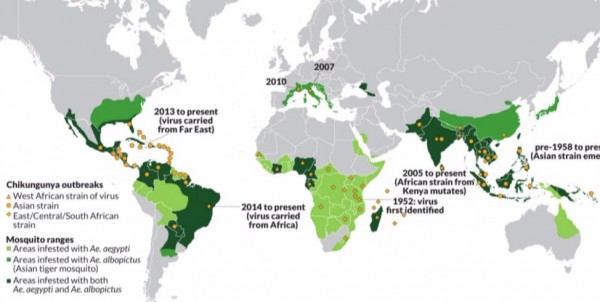 Virusi “Zika” rrezikon edhe Shqipërinë