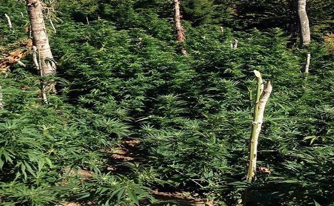 Basha: I dimë emrat e atyre që kërcënuan gazetarët