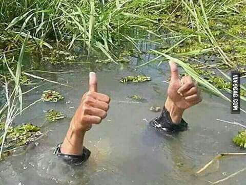 YLLI DYLGJERI/Me shfaqen ankthe dhe mendime obsesive