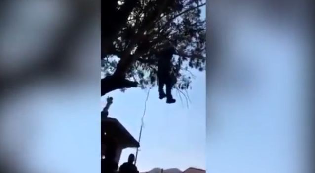 Itali, fermeri gjen një shqiptar të varur në pemë