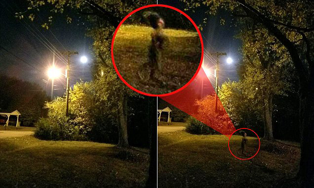 MISTER/ Dy foto të shkrepura pak sekonda nga njëra-tjetra tmerrojnë përdoruesit e internetit