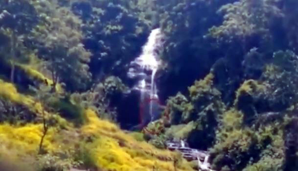 VIDEO/ “Këmbëmadhi”, krijesa e çuditshme filmohet në pyll