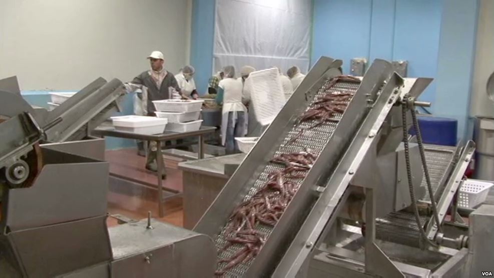 Pasi merr kompanitë e huaja, Maqedonia “josh” dhe bizneset shqiptare