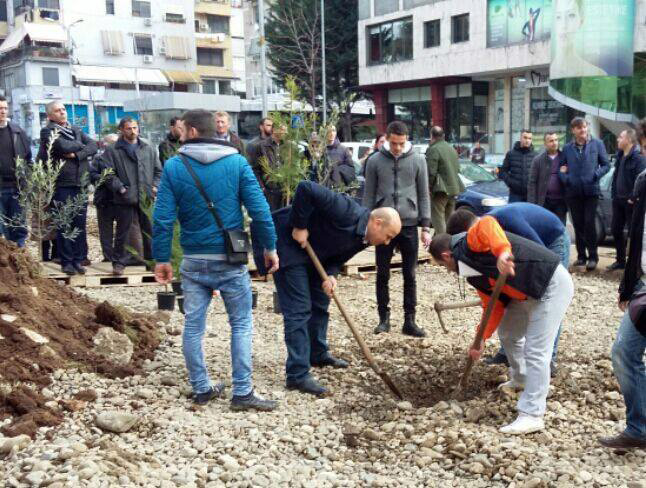 “Lopata e Malltezit” përballë “mazhorancës mavi”