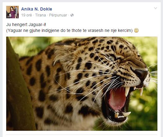 Ironizon vajza e Namik Dokles: Ju hëngërt Jaguar-i! Merrni dhe ca Ferrarri për Urgjencat e Beqajt!