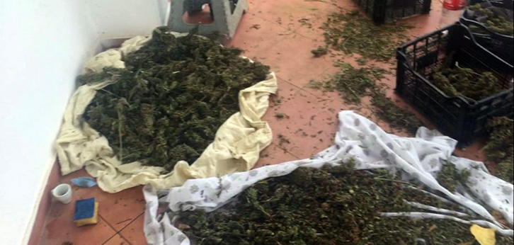 Zbulohet magazina me mbi 3 ton kanabis, pronarë policë e punonjës të amdinsitratës