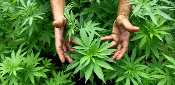 GJERGJ META/ Të mbaj mend kur vije në kishë…, por tani të tërheq kanabisi dhe X6