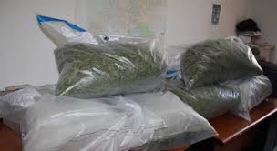 Vlorë, fshehu kanabis në autobus për ta trafikuar në Itali, arrestohet 23-vjeçari