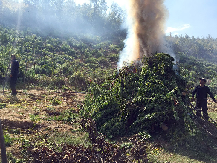 DETAJE/ Konkurrenca “e egër”, shkodrani spiunoi magazinën e drogës në Mat