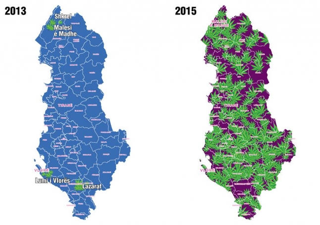 Ja cilat janë  363 fshatrat ku kultivohet kanabis