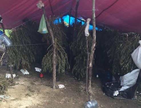 Stuhi operacionesh kundër “2% të drogës së mbetur”