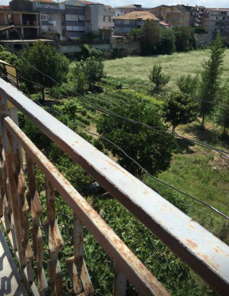 Denoncimi: Kryetari i komunës mbjell kanabis mbrapa vilës