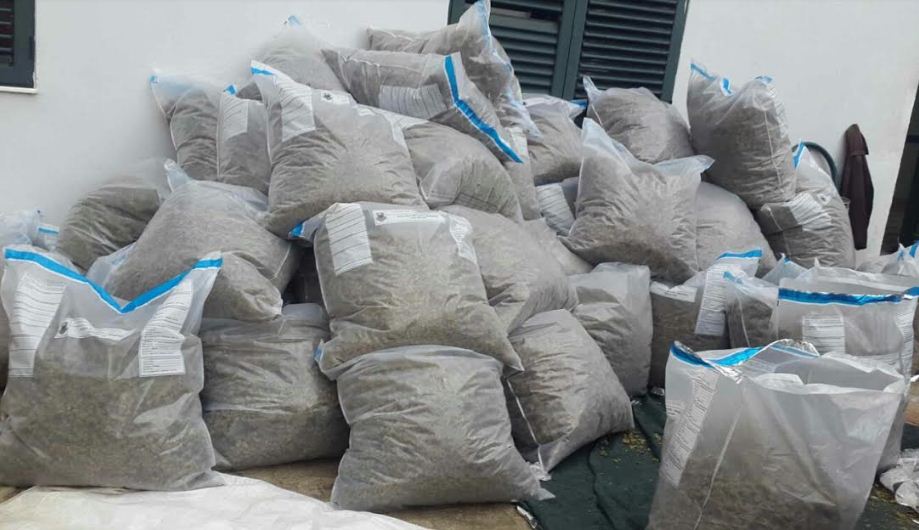 BLERJA & SHITJA/ Rritja e prodhimit ul çmimin e hashashit