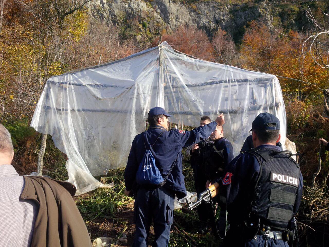 Beteja polici-kanabis:  6 milionë dollarë kundër 6 miliardë dollarë