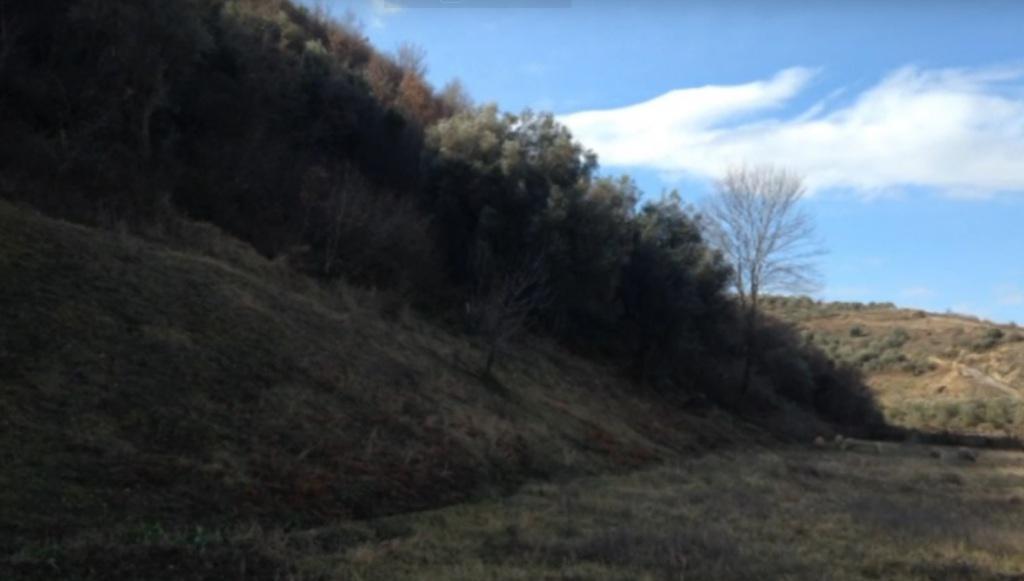 Dëshmia e bariut  që gjeti kokën e prerë në Vlorë, dyshohet të jetë  vrarë para tre muajsh