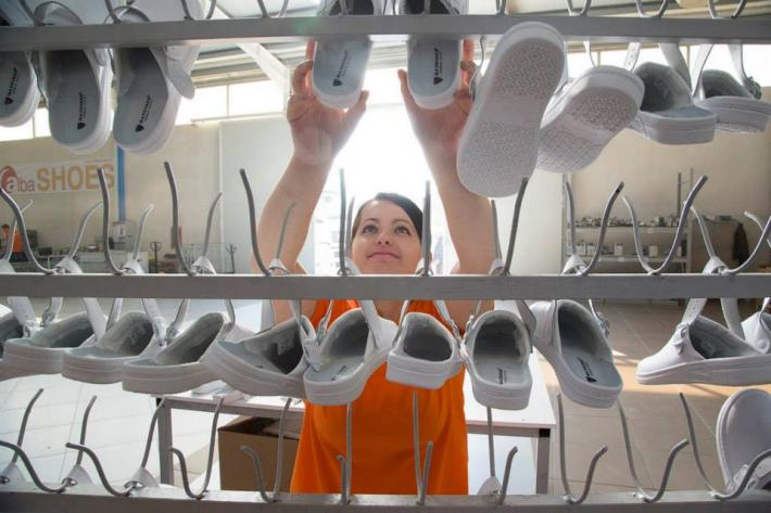 Ja cilët janë 5 sektorët që punësojnë më shumë në Shqipëri