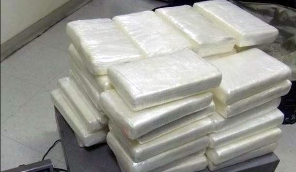 Itali, Policia Financiare “peshkon” 385 kg kokainë nga Brazili me vlerë 77 milionë euro