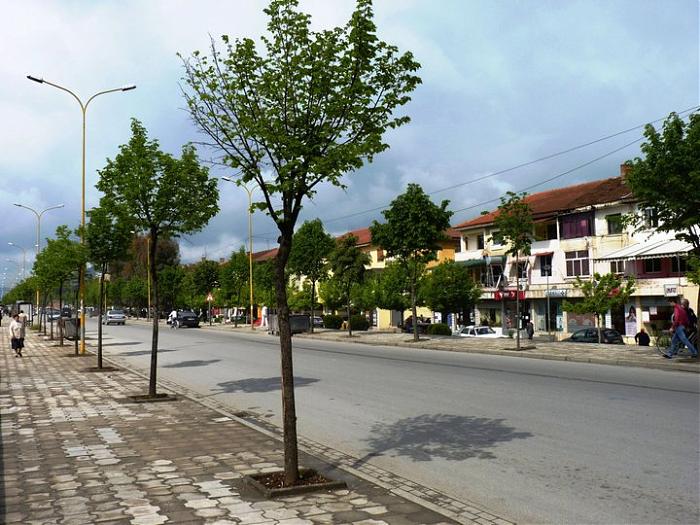 FOTOLAJM/ Ju nuk do të shikoni kurrë një bredh të vitit të ri si ky. Ja ku është