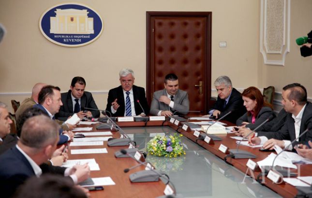 DYSHIMI/ Vasilika Hysi tjetërsoi nenet e dy projektligjeve