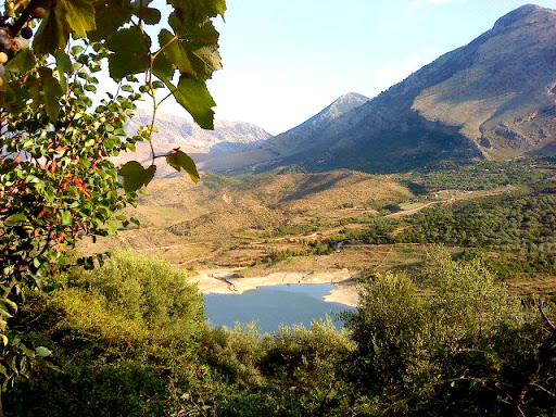 Vrasja enigmë në Delvinë/ Ja si humbi jetën bariu Enkeled Nora