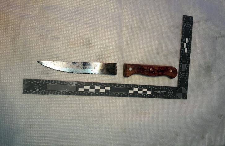 DETAJE/ Korçë, plagos me thikë bashkëmoshatarin, e pret policinë me sëpatë në dorë